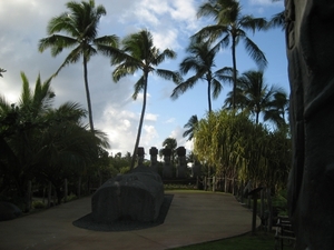 Hawai 2007 112