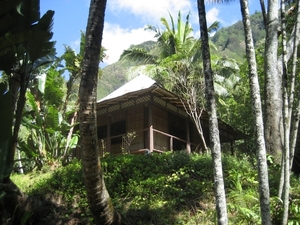 Hawai 2007 150