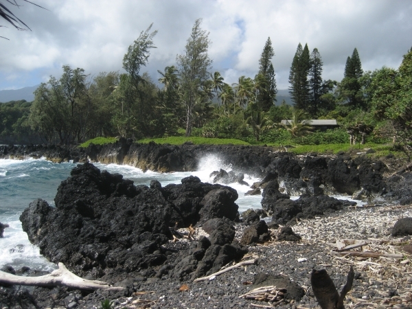 Hawai 2007 208