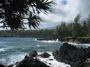 Hawai 2007 209