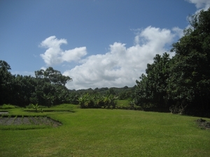 Hawai 2007 214