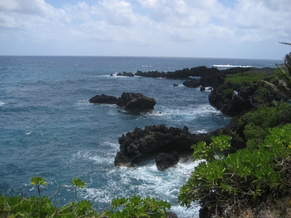 Hawai 2007 217