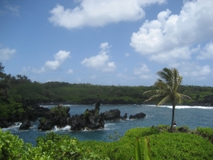 Hawai 2007 221