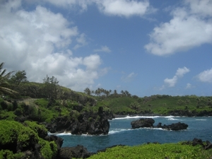 Hawai 2007 222