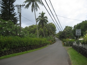 Hawai 2007 224