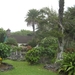 Hawai 2007 230