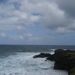 Hawai 2007 232