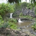 Hawai 2007 236