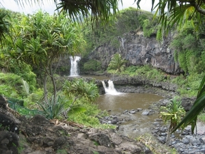 Hawai 2007 236
