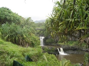 Hawai 2007 237