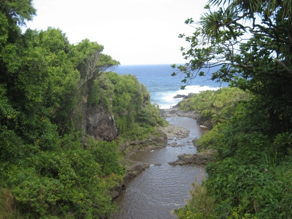 Hawai 2007 238