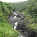 Hawai 2007 239