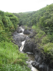 Hawai 2007 239