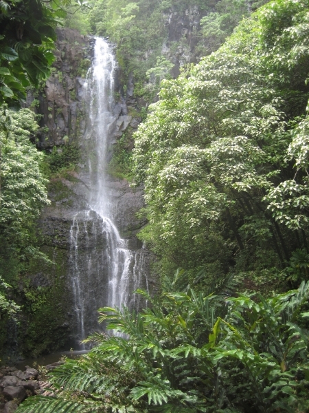 Hawai 2007 240