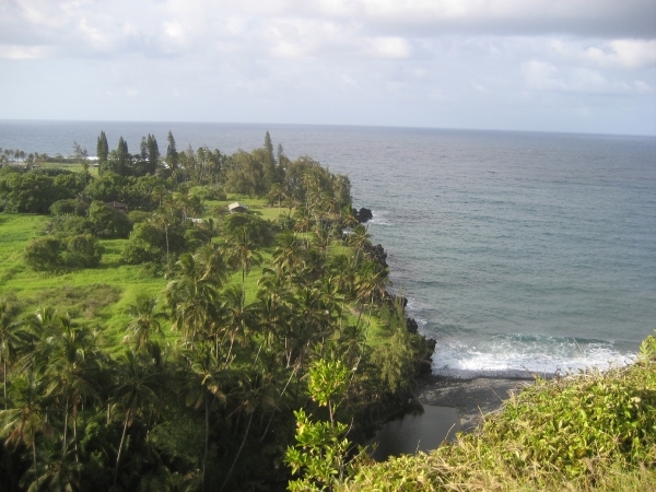 Hawai 2007 243