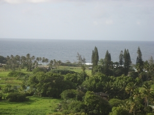 Hawai 2007 244