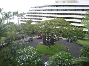 Hawai 2007 249