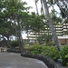 Hawai 2007 257