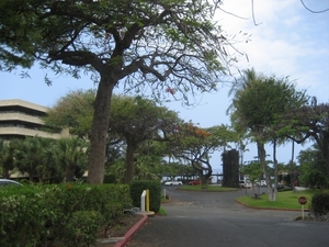 Hawai 2007 261