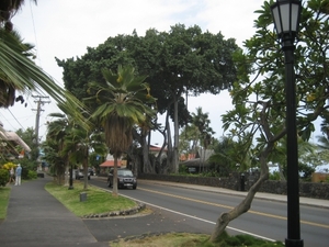 Hawai 2007 270