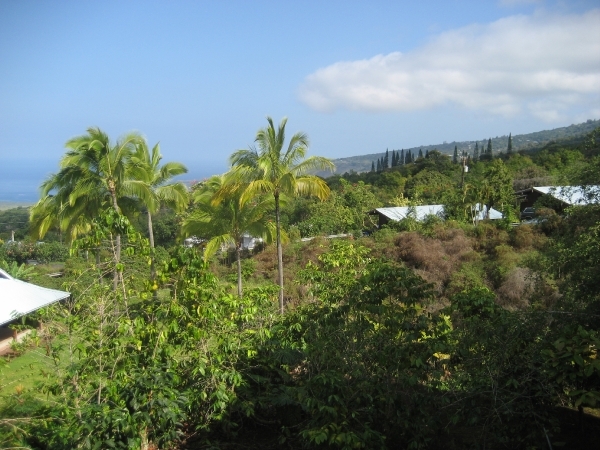Hawai 2007 285