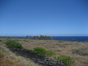 Hawai 2007 295