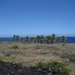 Hawai 2007 296