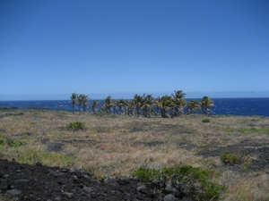 Hawai 2007 296