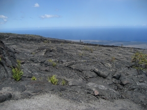 Hawai 2007 304