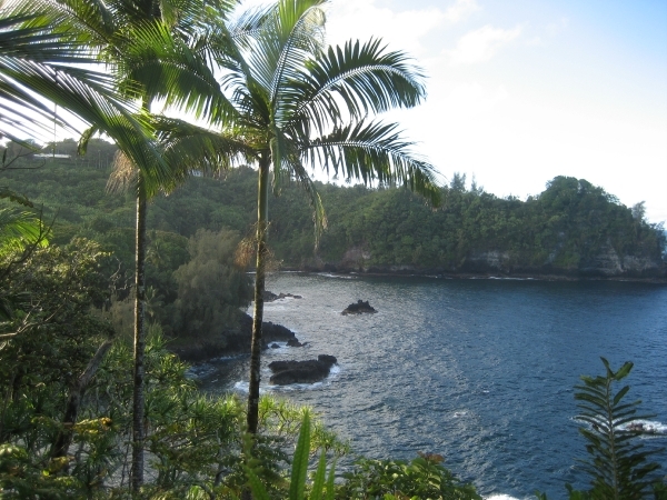 Hawai 2007 317