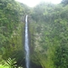 Hawai 2007 320