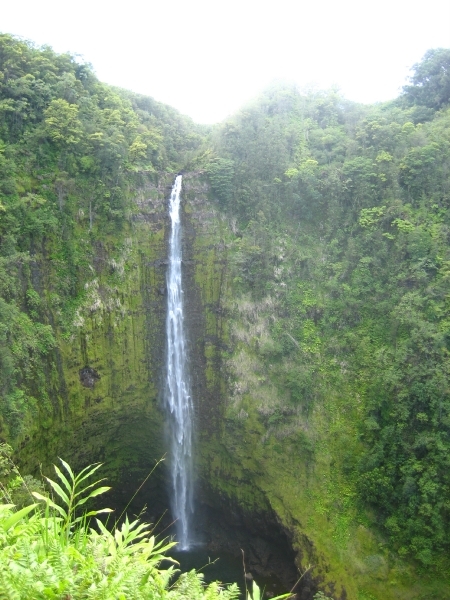 Hawai 2007 320