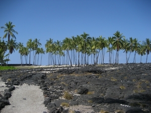 Hawai 2007 327