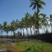 Hawai 2007 328