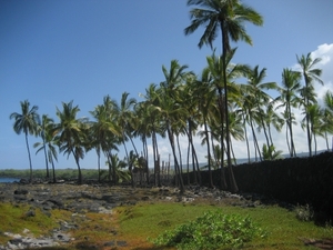 Hawai 2007 328