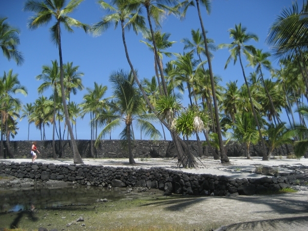 Hawai 2007 330
