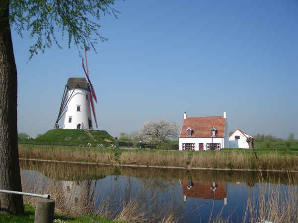 damme
