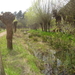 BEEKJE