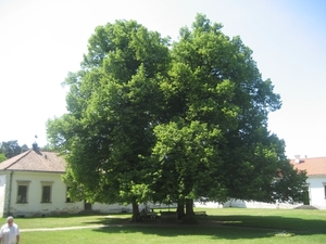 Baltische staten 2008 087