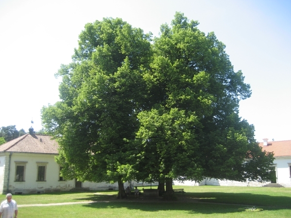 Baltische staten 2008 087