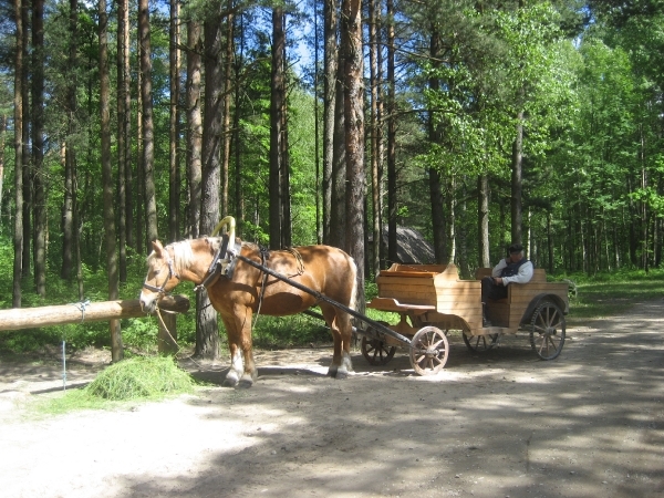 Baltische staten 2008 264