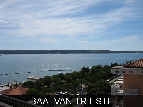 BAAI  VAN TRISTE