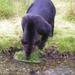 sized_PICT0272