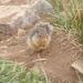 sized_1PICT0332 (18)
