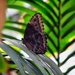 sized_PICT0617