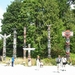 sized_PICT0566