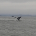 sized_IMGP0515