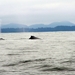 sized_PICT0554