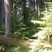 sized_PICT0472