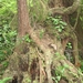 sized_IMG_6909